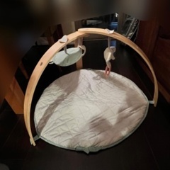 プレイジム無料でお譲りします