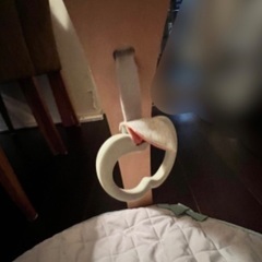 プレイジム無料でお譲りしますの画像