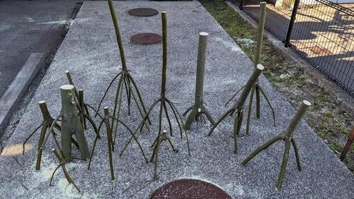 自立する枝