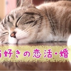 3/4　猫好き集まれ　20歳～35歳まで　街コン　恋活婚活　福岡...