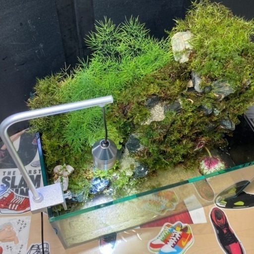 ☆杜のメダカ☆★小川が流れるアクアテラリウム完全品★メダカ・熱帯魚飼育に★ライト付き 