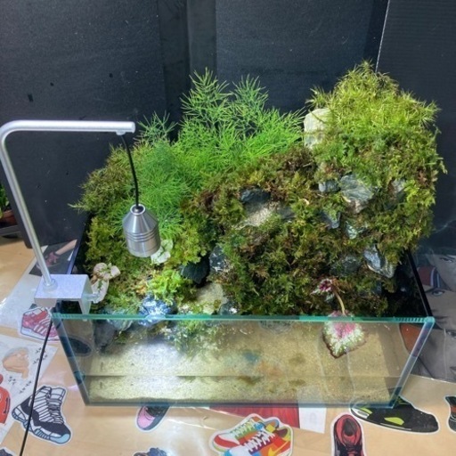 ☆杜のメダカ☆★小川が流れるアクアテラリウム完全品★メダカ・熱帯魚飼育に★ライト付き 