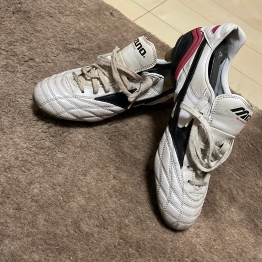 ミズノ　モレリアウェーブ