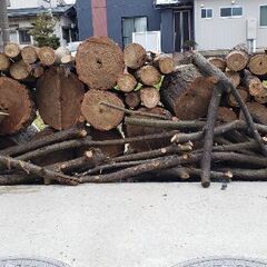 薪になる木　広葉樹　果樹　針葉樹　ください。