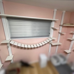 キャットウォーク DIY 猫 吊り橋 キャットタワー