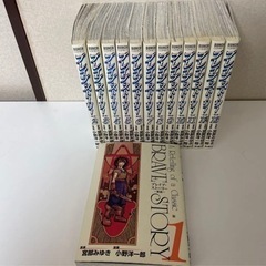 ブレイブストーリー　1-13巻