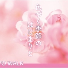 3/4 梅と菜の花のフォトウォーク📷@鶴見緑地公園