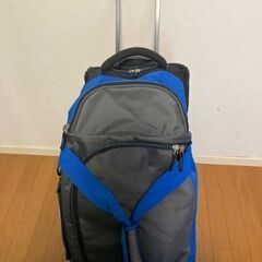 キャスターバッグ(キャリーケース)の画像