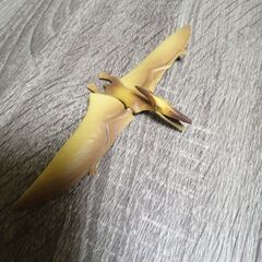 アニア　プテラノドン　恐竜