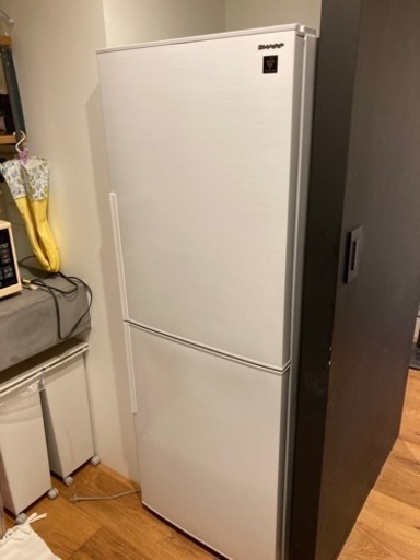 冷蔵庫　独り暮らし　280L