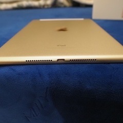 iPad 第5世代(ゴールド)Wi-Fi + Cellularモデルの画像