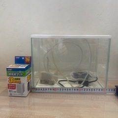決まりました 水槽セット フィルターおまけ付き