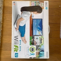 Wii Fit U 