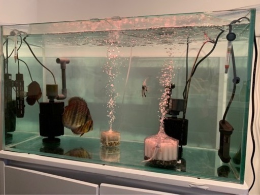 水槽90cm その他飼育用品一式