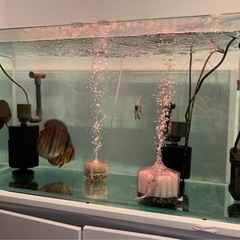 水槽90cm その他飼育用品一式