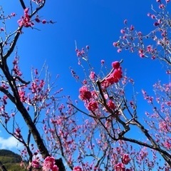 SOL.〜yoga〜３月のスケジュールの画像
