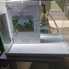 ガラス水槽セット