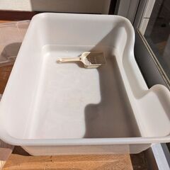 本日限定　猫トイレ