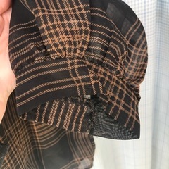透け感ブラウスの画像