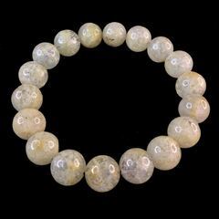 ホワイトガーデンファントムの画像