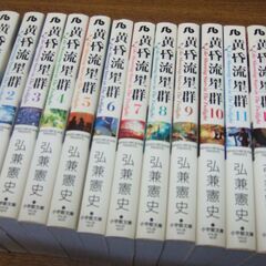黄昏流星群 / 弘兼憲史 / 小学館文庫　全13巻