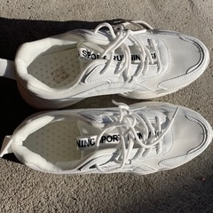 決まりましたの画像