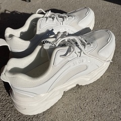 決まりましたの画像