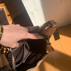 コーチバックの画像