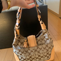 コーチバックの画像