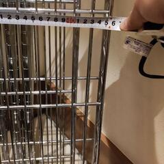 スチールラック(受け渡し予定者有り)の画像