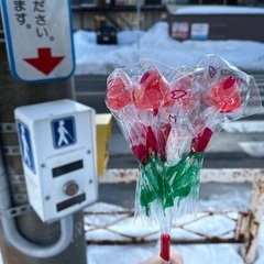 釧路でバンドやりましょう