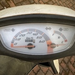 ホンダ ライブDio ZXの画像