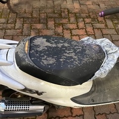ホンダ ライブDio ZXの画像