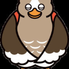 春スノーボード