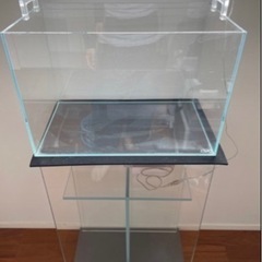 ADA水槽一式 引き取り限定 45センチ