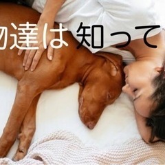 レイキ講座2023/3/9・10(木金)2023久慈の画像