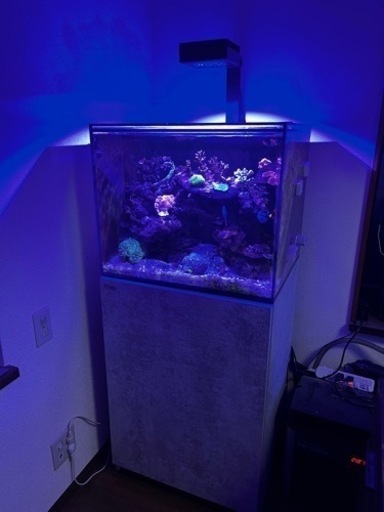 Red Sea reefer 170 限定マーブルカラー　オールセット