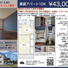 【敷金0礼金0】平塚の1DK南向き/日当たり良好★綺麗★今ならフリーレント1ヶ月付 - 平塚市