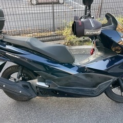 pcx jf56の画像