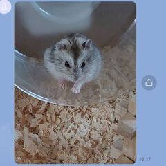 今話せる人