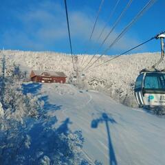 パルコール嬬恋リゾートに行きませんか🏂️