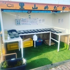 里山めだか　2023 3/1より販売開始