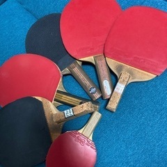 一緒に卓球しましょう🏓さいたま市