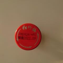 【決まりました!!】日本酒純金箔入り２本の画像