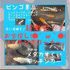 3月5日夢見月メダカリニューアル移転オープンイベント　めだか