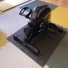 STEADY ミニフィットネスバイク 【 Designed in...