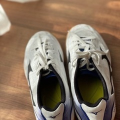 [値下げ]Mizunoミズノ　フットサルシューズ　 サイズ21