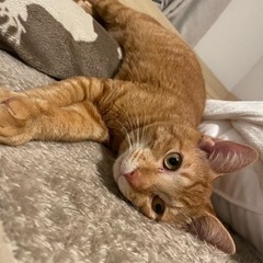 目目がチャームポイントだいきちくん✨