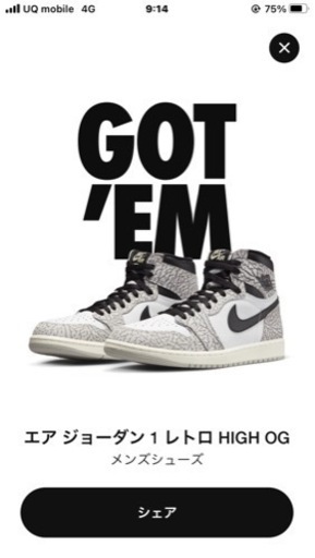 Nike Air Jordan 1 High OG 