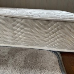 セミダブルの画像